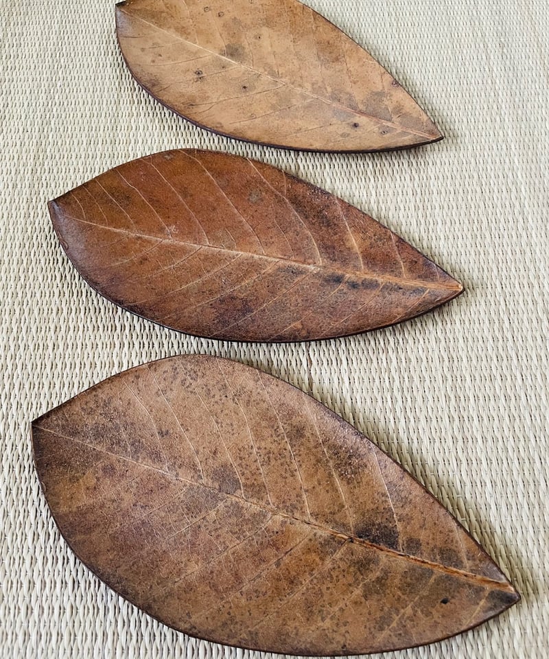美品】朴葉 菓子皿/銘々皿 葉っぱ型菓子皿 | ginyoudo