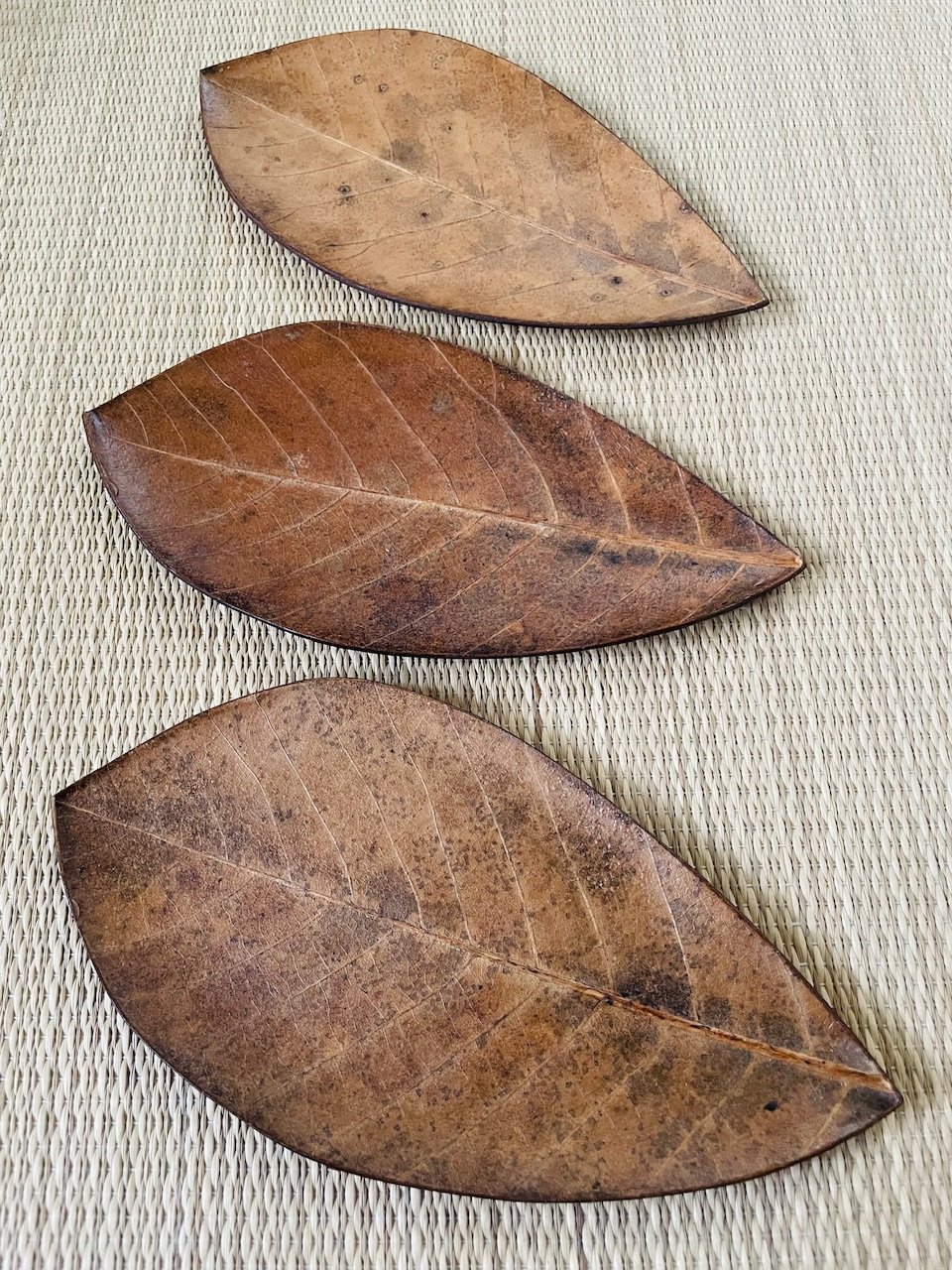 美品】朴葉 菓子皿/銘々皿 葉っぱ型菓子皿 | ginyoudo