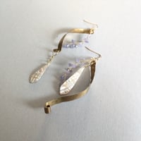 海の底の美しさ