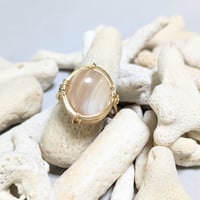 夜光貝の指輪