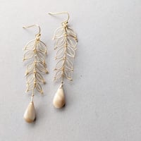 葉っぱと雫