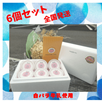 ジェラート6個ギフト　贈り物にも最適