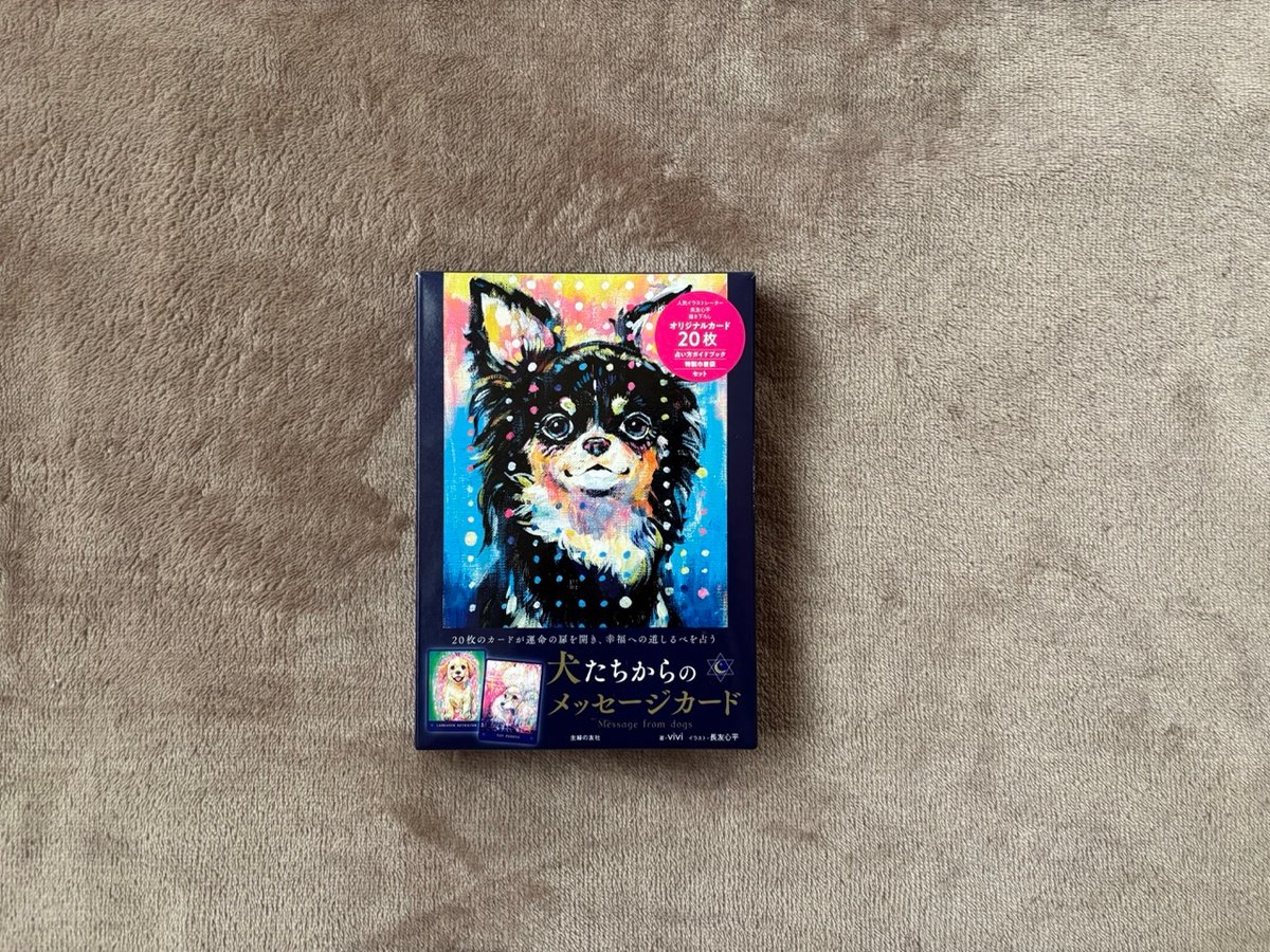 犬たちからのメッセージカード | ICHISE ONLINESHOP
