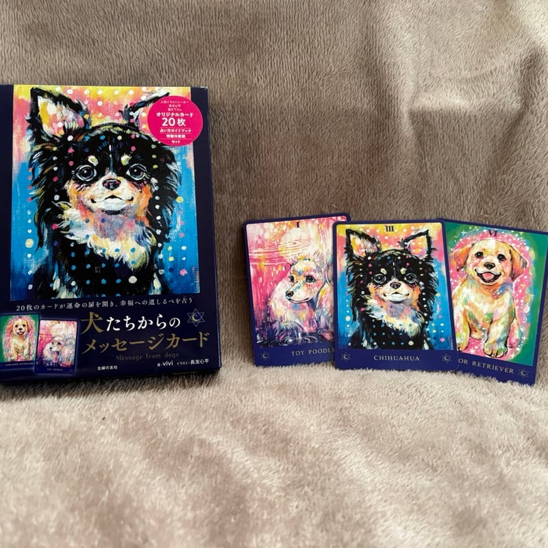 フード付き犬フィギュア メッセージカード付き フード付き犬フィギュア メッセージカード付き 【公式通販】