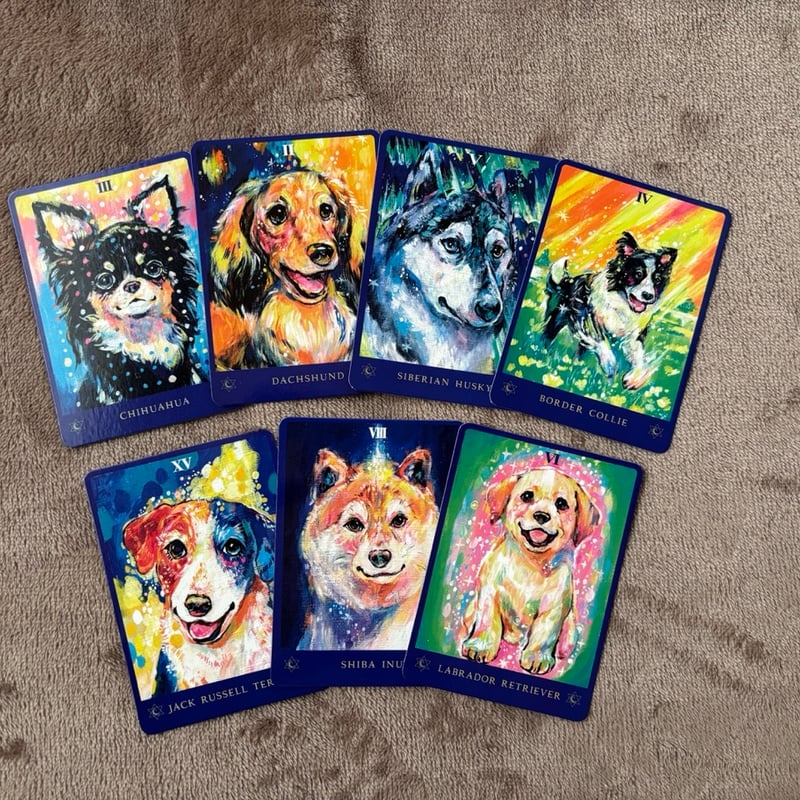 犬たちからのメッセージカード | ICHISE ONLINESHOP