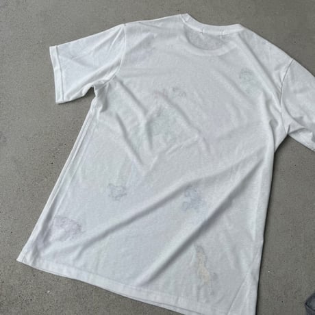 horse T