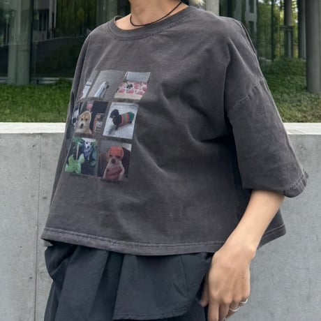 select dog T