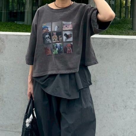select dog T