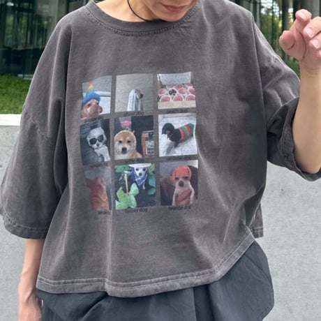 select dog T