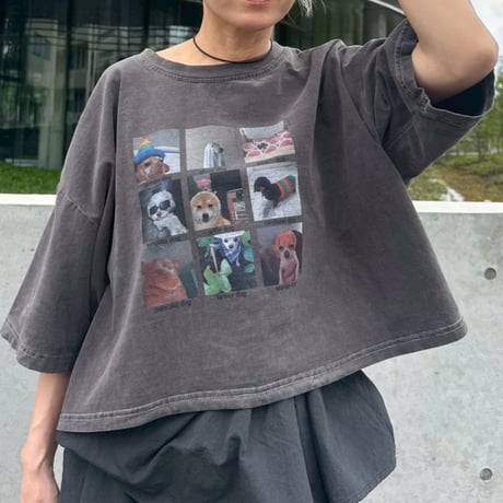 select dog T