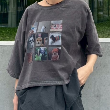 select dog T