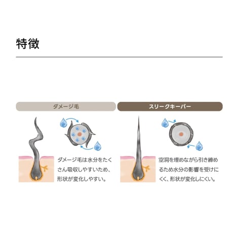 ヘアケミスト スリークキーパー シャンプー　300mL