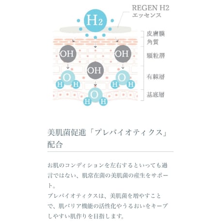 REGEN H2 エッセンス　30g