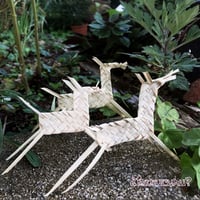 2/15 11:00-16:00 at シュガーホール | ¿Harucuru? 草編みワークショップ