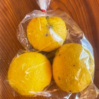 有機栽培・農薬不使用 ニラ | げんすけ農園