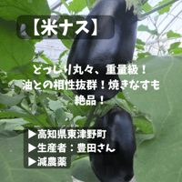 有機栽培・農薬不使用 ニラ | げんすけ農園