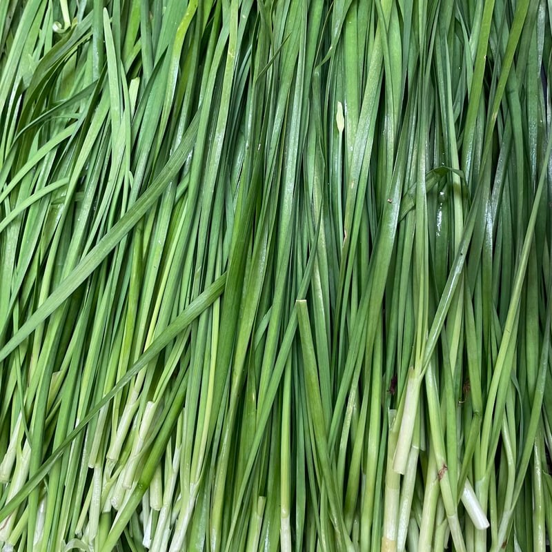 有機栽培・農薬不使用 ニラ | げんすけ農園
