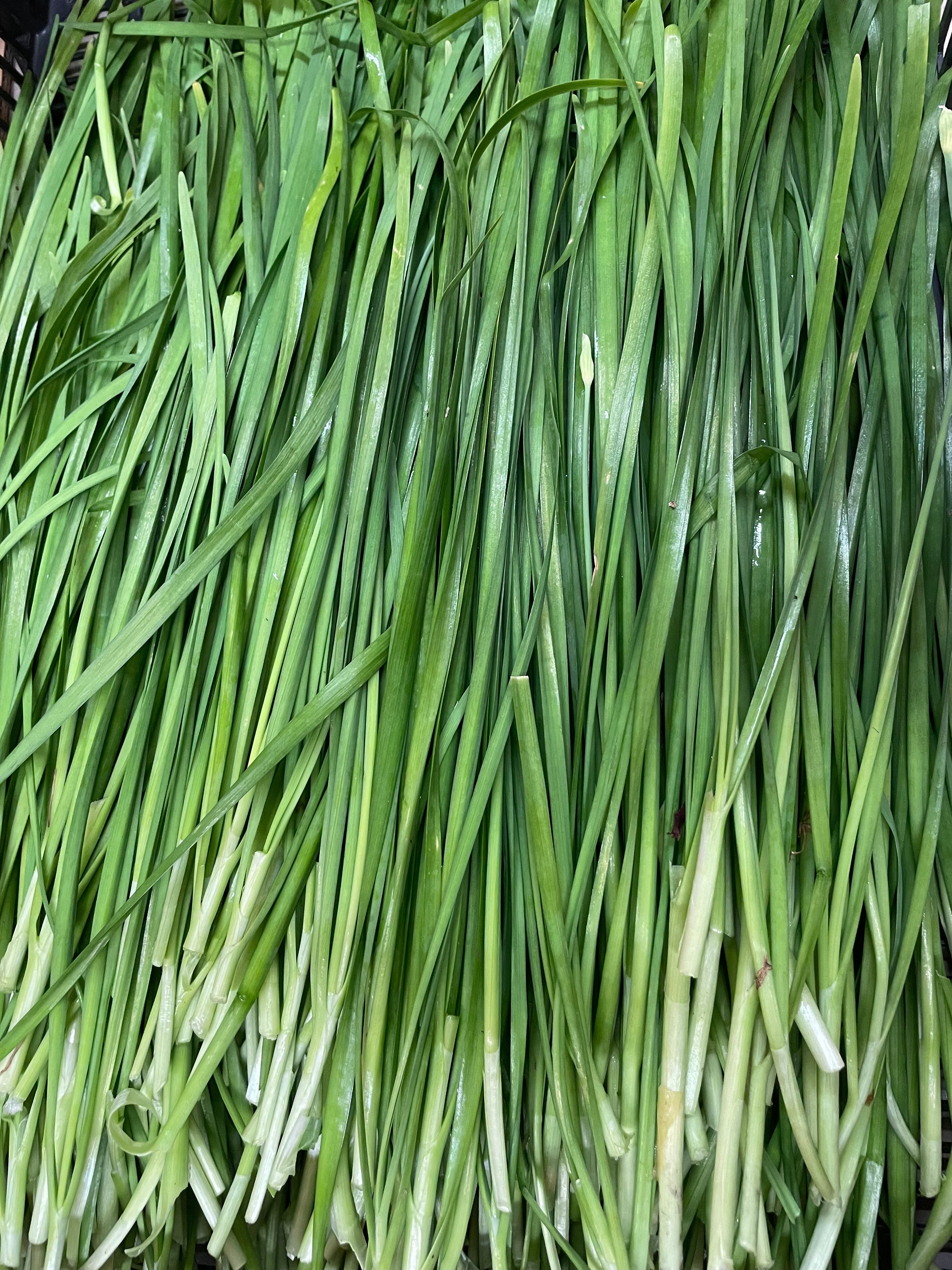 有機栽培・農薬不使用 ニラ | げんすけ農園