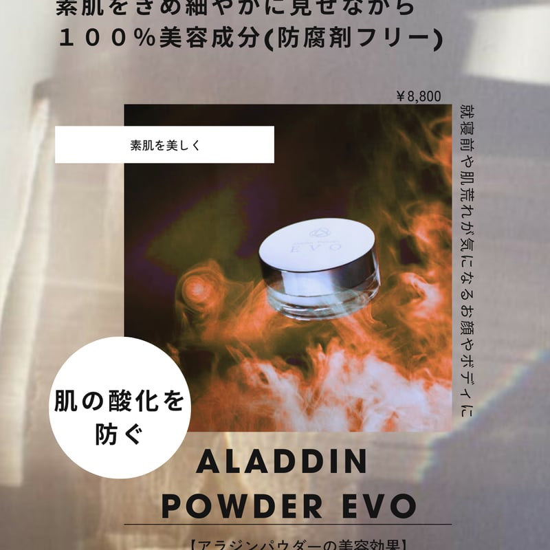 Aladdin Powder EVO 4g MADE IN JAPAN | 商品一覧