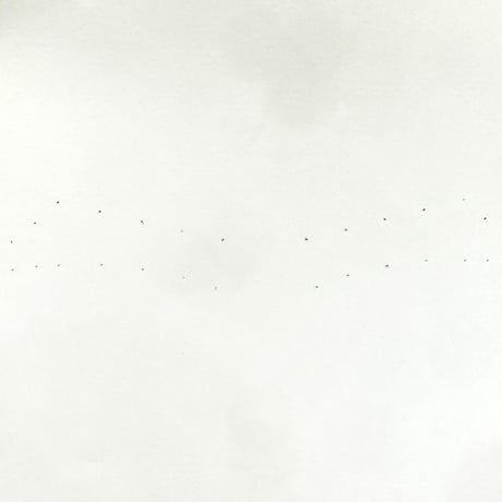 野生眉定規　男女セット