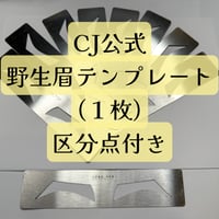 CJ 野生眉テンプレート