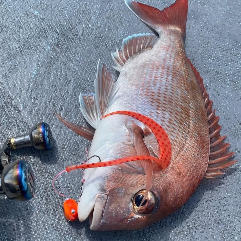 リバライズ Curly スラッガー | FishingGear RivaRise