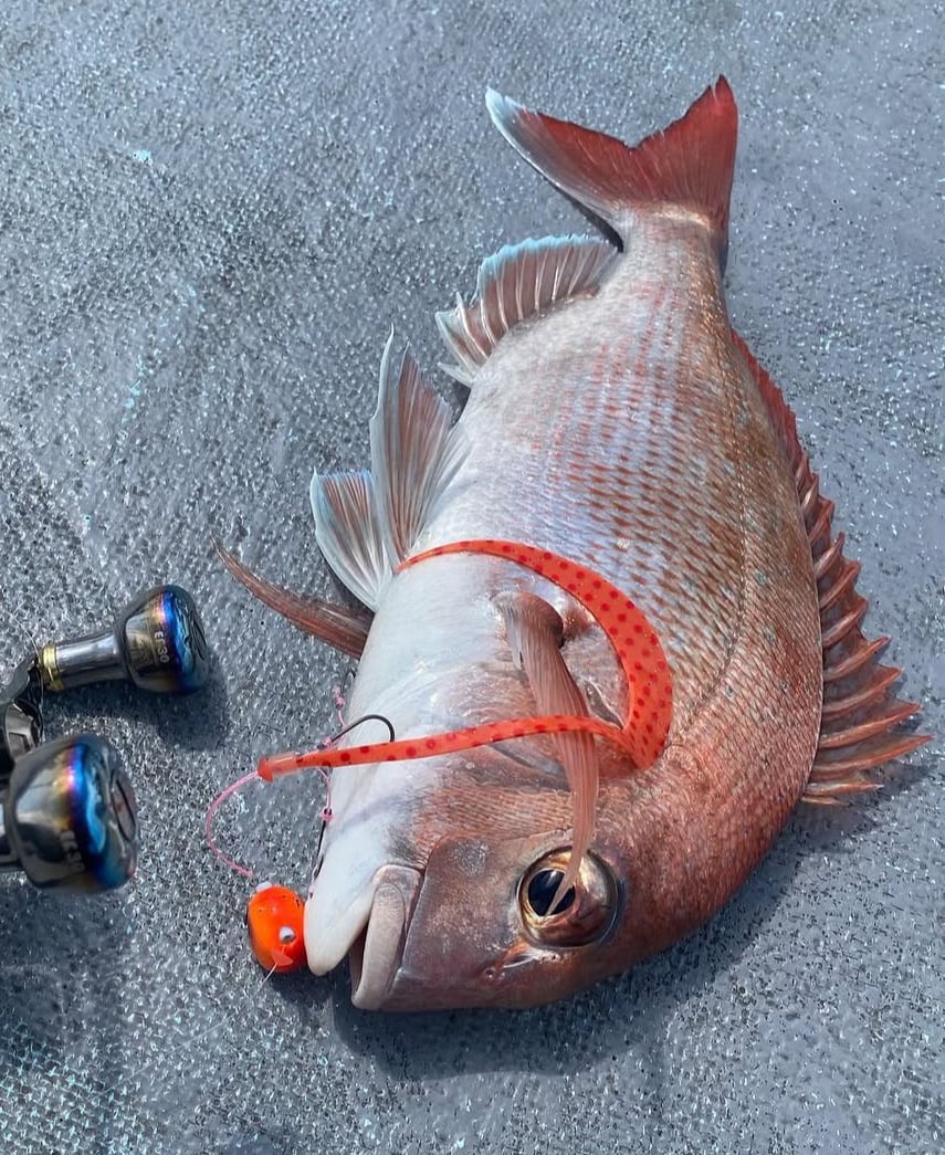 リバライズ Curly スラッガー | FishingGear RivaRise