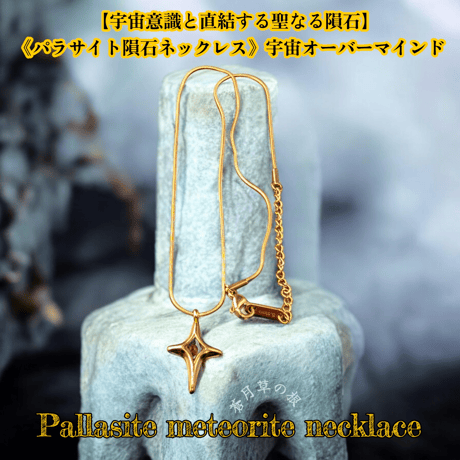 パラサイト隕石 | STORES