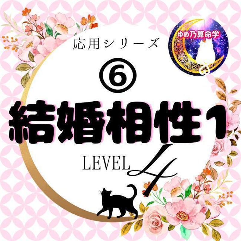 応用】⑥結婚相性1 LV.4 | ゆめ乃算命学 ストアーズ本店