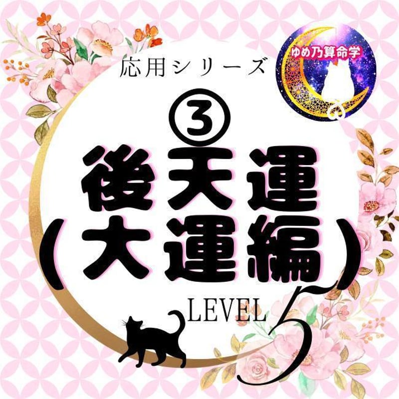 【￥960引】ゆめ乃算命学　あなたが作る「MY DATA100」　　独学　鑑定 応用】③後天運早見表（大運編）LV.5 | ゆめ乃算命学 ストアーズ本店