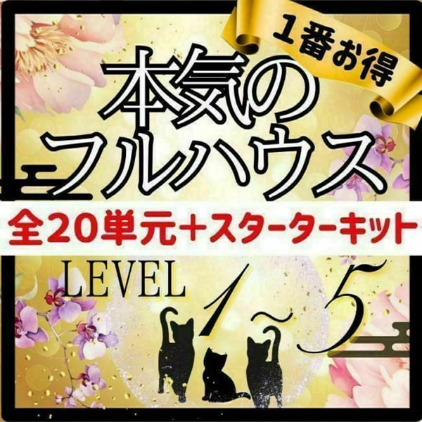 【￥9,700引】ゆめ乃算命学「フルハウス」　レベル１～５　独学　鑑定　本　占い 9,700引】ゆめ乃算命学「フルハウス」 レベル1～5 独学 k 鑑定 占い