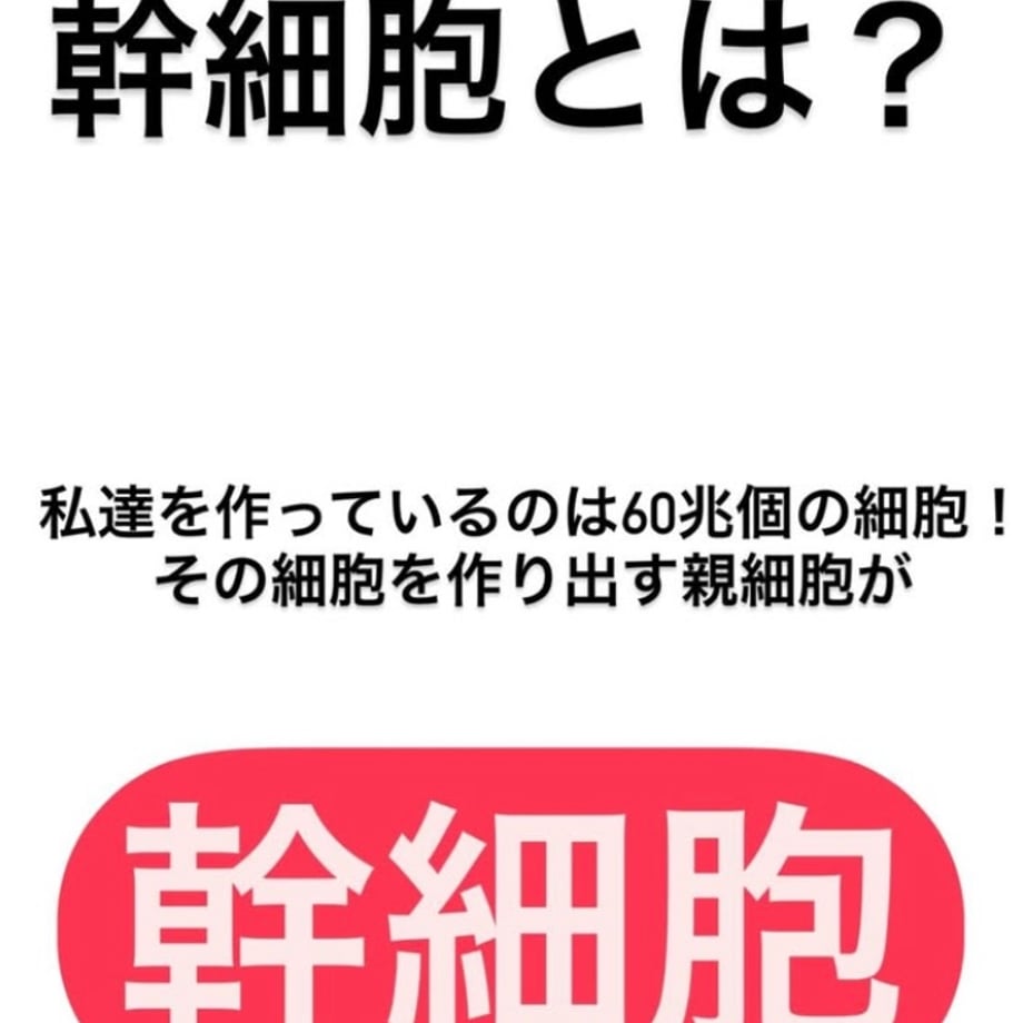 679c676e9c8b6202494ced60