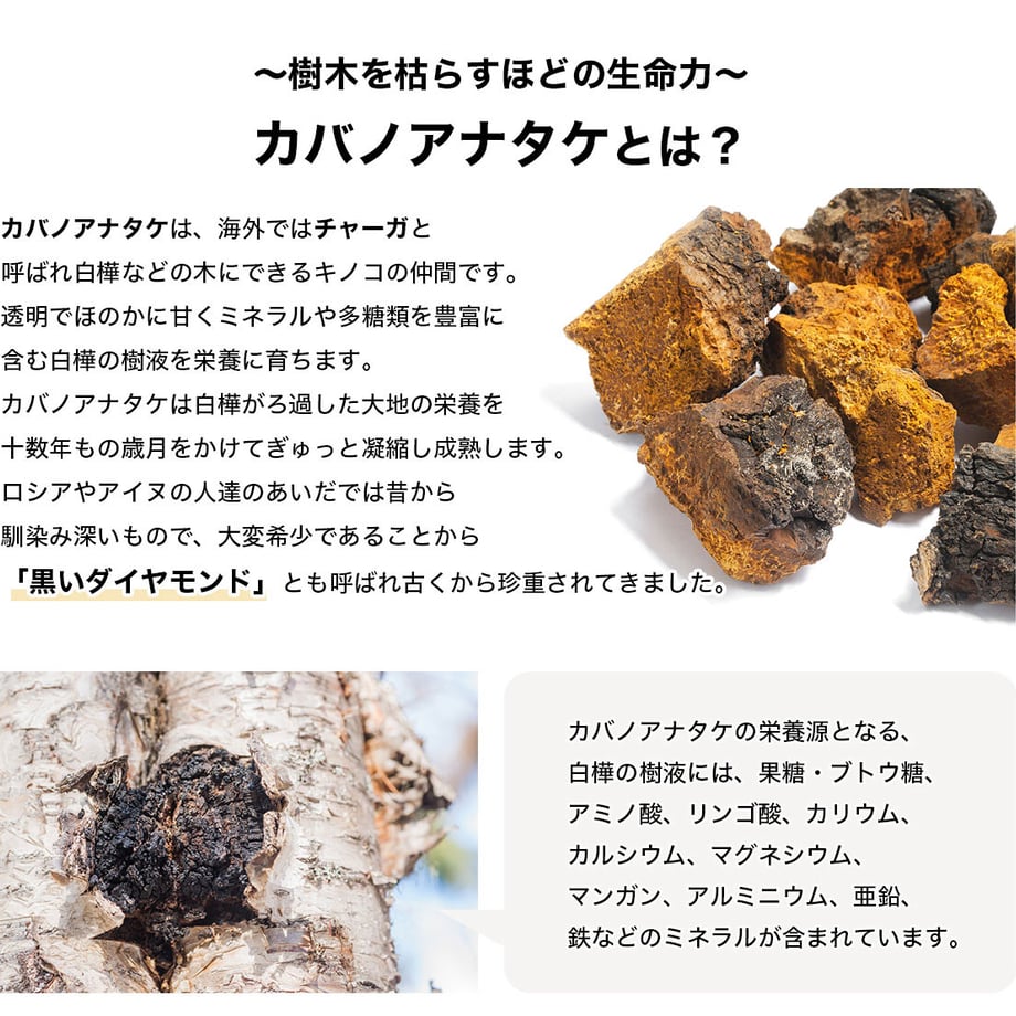 67a5a8dc62e80901f2f6ace5