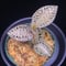Anoectochilus roxburghii \"Gold Vein Type\"  アネクトキルス ロクスバーギー \"ゴールドベインタイプ\"①