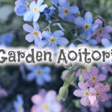 Garden Aoitori