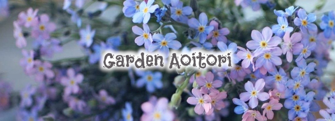 Garden Aoitori