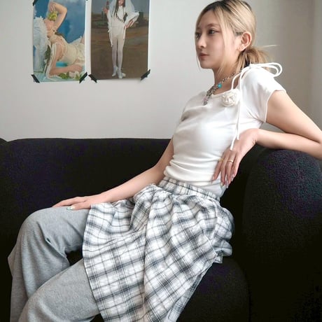 check skirt pants