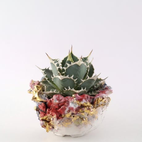 CATEGORY 植物鉢 | Gallery Art Amane