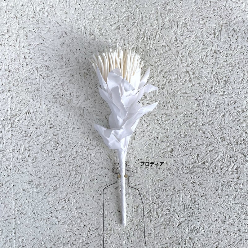 ペーパーフラワー imgrc0077486927.jpg