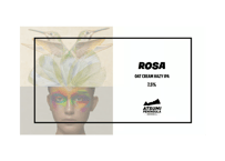 ROSA【缶】6本パック