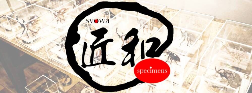 匠和スペシメンズ(匠和specimens)