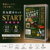 【苔丸標本キット START】昆虫標本キット 初心者向け｜カブトムシ・クワガタ対応｜作り方動画付き｜自由研究にも最適