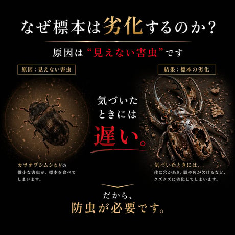 【昆虫標本 防虫剤（液体タイプ）6ml】カツオブシムシ対策・標本保存・劣化防止｜無臭・約6ヶ月持続｜苔丸インテリア