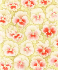 pansy