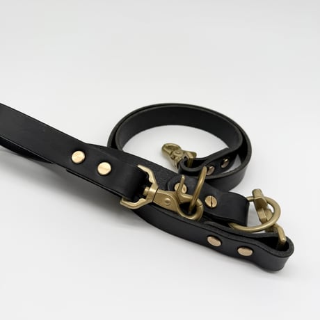 BUDDY's LEASH CLASSIC