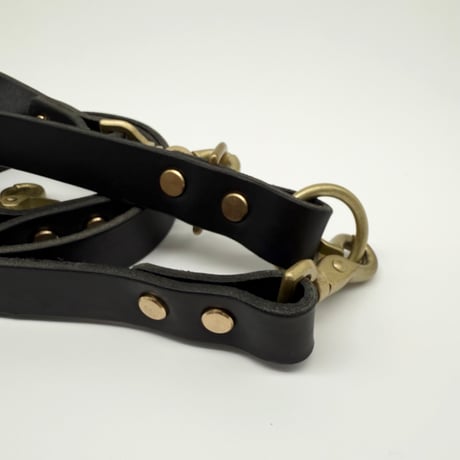 BUDDY's LEASH CLASSIC