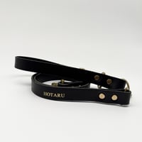BUDDY's LEASH CLASSIC