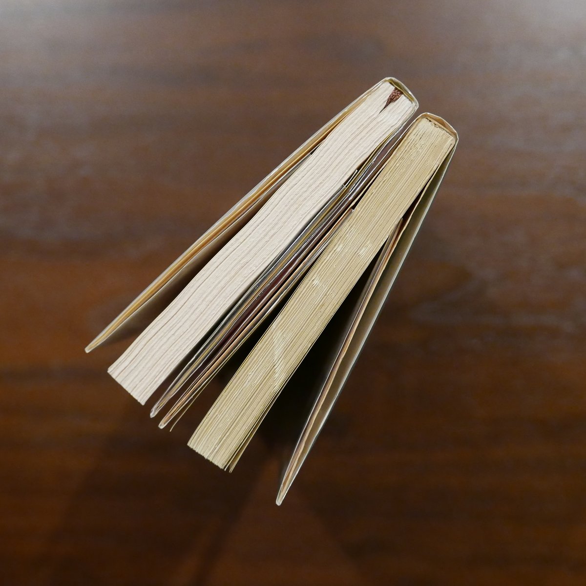 倉橋由美子の長篇小説文庫二冊セット | 書肆 原光