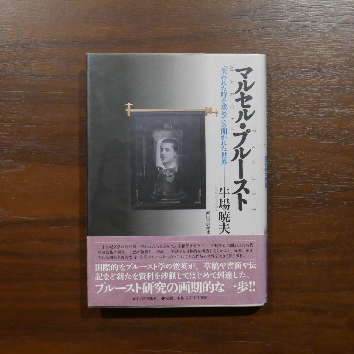 マルセル・プルースト 『失われた時を求めて』の開かれた世界 牛