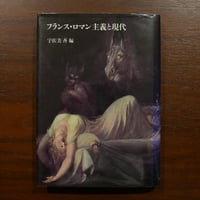 フランス・ロマン主義と現代　宇佐見斉編　筑摩書房